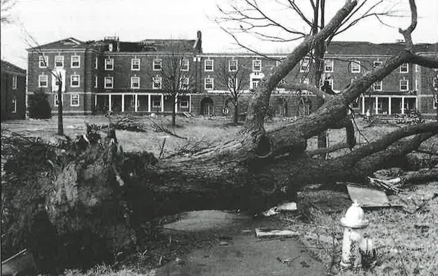 的褐变, 克莱门特, Harned, 如图所示, 哈维尔和阿奇伍德建筑在1月11日的一次地震中严重受损. 1999年22日，龙卷风袭击了克拉克斯维尔.